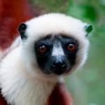 Holidays in Madagascar