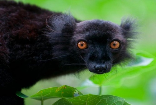 Holidays in Madagascar